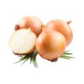 Oignons